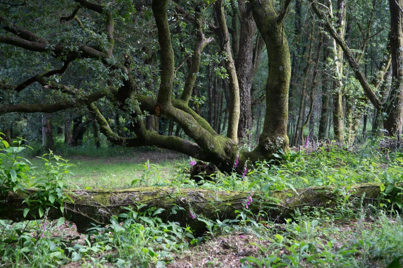 Cabanas Da Ulla Touro Zewnętrze zdjęcie